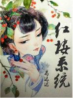 红楼之美女系统